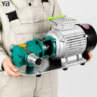 WCB 30 2800 U/min Tragbare Elektrische Selbstansaugende Zahnradölpumpe 30 LPM 0,75 KW Kohlenstoffstahl-Zahnrad-Dieseltransferpumpe