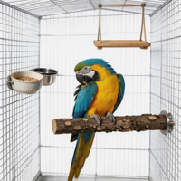 Perchoir en bois d'ash épineux naturel pour oiseaux, jouet à mâcher pour aiguiser le bec, pour cage de perroquet et de myna