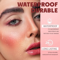 Meilleure vente Blush de maquillage pigmenté rose végétalien sur fard à joues liquide de marque privée de maquillage longue durée