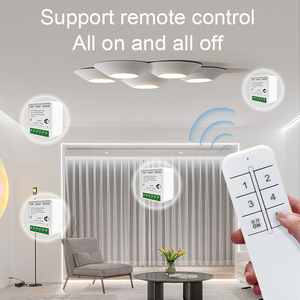 Nhà máy cung cấp EweLink Wifi & 2.4G từ xa không dây điều khiển chuyển đổi thiết lập nhà thông minh các thiết bị adapter hỗ trợ Google trợ lý Alexa - Product Image 4