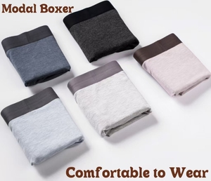 Produttore taglie forti intimo <span class=keywords><strong>uomo</strong></span> modal <span class=keywords><strong>boxer</strong></span> slip <span class=keywords><strong>uomo</strong></span> taglia grande <span class=keywords><strong>4XL</strong></span> - Product Image 4