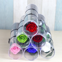Die beliebtesten ewigen Rosas konservierten al por Mayor einzelne natürliche unsterbliche, für immer erhaltene Rosen mit langem Stiel für die Heim vase