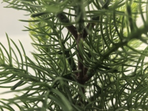 Cây Nhân tạo dày đặc trong cây trồng thanh lịch cho trang trí nhà hiện đại - Product Image 5