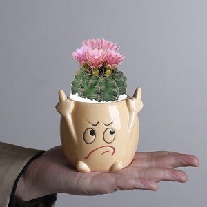 Maceta de Cerámica con Diseño de Personajes de Dibujos Animados, para Plantas Suculentas, Decoración Personalizada de Escritorio, <span class=keywords><strong>Pequeña</strong></span>, para Expresión Creativa Transfronteriza - Product Image 2