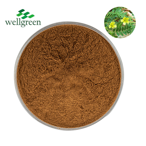 Natural <span class=keywords><strong>Tribulus</strong></span> Terrestris <span class=keywords><strong>P.E</strong></span> /<span class=keywords><strong>Tribulus</strong></span> Terrestris Chiết Xuất 40% Saponies Bột Với Số Lượng Lớn - Product Image 1