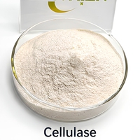 Poudre d'enzyme cellulase de qualité alimentaire CAS 9012-54-8 haute activité pour le textile, la boulangerie et l'extraction de jus