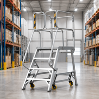 Plateforme de travail pliante moderne en aluminium, échelle mobile de sécurité avec roues rétractables pour solutions d'accès en entrepôt et salle de bain