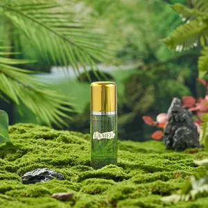 숲 풍경 시리즈 녹색 배경 사진 장식 제품 배경