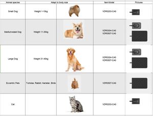 Sensor gigi untuk perawatan gigi kucing anjing Sensor Rvg gigi XRay Digital Sensor <span class=keywords><strong>Intraoral</strong></span> gigi - Product Image 3