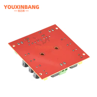 Amplificateur audio numérique mono canal DC 12V 24V 150W TPA3116DA TPA3116D2 avec préamplificateur XH-M544
