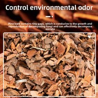 Bois de pin pour terrariums, litière pour reptiles, caméléons et tortues, absorbant l'humidité et éliminant les odeurs.