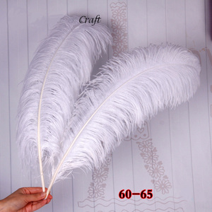 Bán Buôn Kích Thước Lớn Đà Điểu Lông Trang Trí Đám Cưới Bảng Centerpieces Feather - Product Image 3