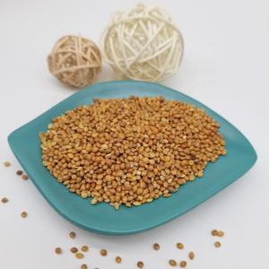 <span class=keywords><strong>Millet</strong></span> perlé hybride de qualité supérieure, jaune, blanc, rouge, doré, en gros, fourni par l'usine - Product Image 6