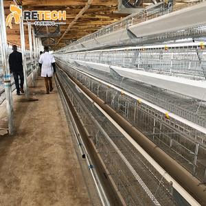 Basit Yapılı Kümes Hayvan Çiftliği Tavuk Kümesi 128 Kuş 10000 Yumurtacı Tavuk Kafesi Satılık - Product Image 5