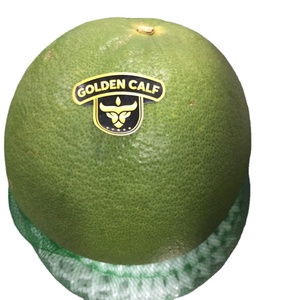 POMELA/GRANADA FRESCA, PRECIO DE EXPORTACIÓN, A LA VENTA, Frutas Tropicales Frescas de Vietnam - WA Linda 0084989322607 - Product Image 1