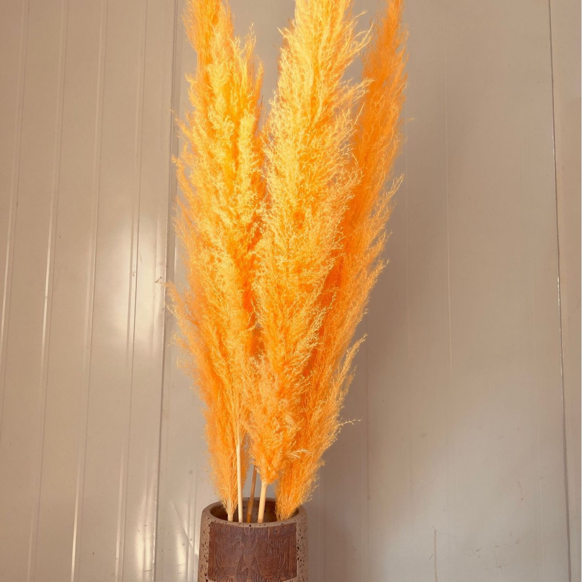 Arancione