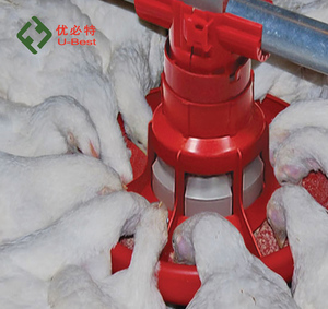 Equipo Agrícola, Comederos/Bebederos Automáticos para Pollos de Engorde, Línea de Alimentación/Bebederos Automáticos para Granjas Avícolas - Product Image 2