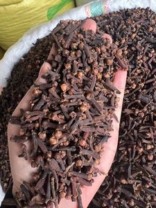 TONGJIN поставка, Лидер продаж, одинарные специи и травы, высокое качество, Индонезия, сушеный гвоздик - Product Image 5