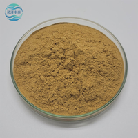 Poudre de dattes rouges séchées à base d'extraits végétaux de qualité alimentaire chinoise, extraite par solvant, naturellement sucrée, pour la cuisson, le thé et les collations, vente en gros