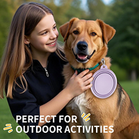 Vente en gros de bols pliables en silicone avec votre logo, portables avec mousqueton, pour le camping en plein air, l'alimentation des animaux de compagnie, OEM ODM