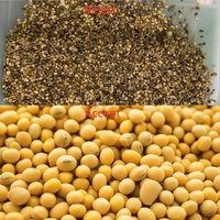 Anhui WENYAO - Prix usine - Machine de traitement des grains de café haute capacité - Trieuse chromatique pour soja et riz