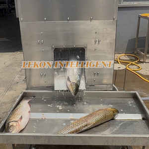 Macchina per la rimozione delle squame di pesce ad alta pressione, senza danni, per salmone, spigola e orata - Product Image 6