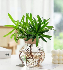 Fournitures d'usine bon marché grand cylindre de maison décorations de mariage nordiques modernes <span class=keywords><strong>Vase</strong></span> de fleur en verre Borosilicate transparent avec liège - Product Image 3