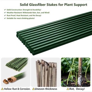 Tuteurs en fibre de verre pour plantes d'intérieur et d'extérieur, 3ft, 4ft, 5ft, 6ft, 7ft, pour tomates, légumes, fournitures de jardinage, bâtons de soutien - Product Image 1