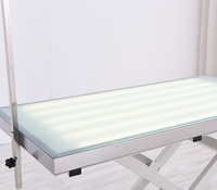 Table de toilettage réglable pour animaux de compagnie Nouveau design Pliable Électrique Croix de levage en acier inoxydable Source d'alimentation