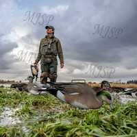 Leurres de Chasse Silhouette Wigeon Ultraréalistes Anti-Rayures, Légers et Recyclables – Vente en Gros Usine