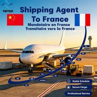 Agent de transport aérien France Lyon Marseille Provence, services de transport aéroportuaire, agent transitaire