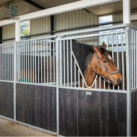 Système de box de stockage robuste pour chevaux, équipement équestre, structure en acier préfabriquée sur mesure, box de chevaux robuste et de qualité supérieure