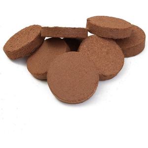 Disques de coco extensibles pour la germination des semis - Product Image 4