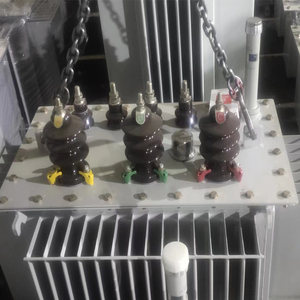 Trasformatore Trifase Personalizzato SH15 SH25 in Lega Amorfa 1000kW, Trasformatore ad Alta Tensione a Immersione in Olio per Distribuzione - Product Image 6