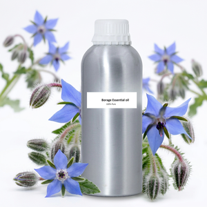 สารสกัดน้ำมันโบราจบอราโก officinalis - Product Image 1