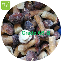 중국 야생 버섯 IQF 냉동 boletus edulis 운남