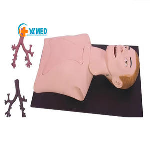 Simulador Humano de <span class=keywords><strong>Endoscopia</strong></span> Bronquial Avanzada para Entrenamiento Médico, Precio de Simulador de Broncoscopia Médica - Product Image 1