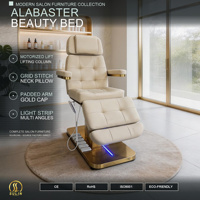 Lit de beauté en albâtre en gros avec colonne de levage motorisée, grille de fixation, bande lumineuse, accoudoir rembourré, capuchon doré et coussin cervical