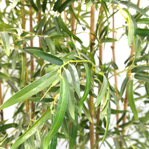 Plantes artificielles naturelles en <span class=keywords><strong>gros</strong></span> pour la décoration, design 190CM, grandes plantes en plastique artificielles en <span class=keywords><strong>pot</strong></span>, pour intérieur et extérieur, bambous sacrés - Product Image 3