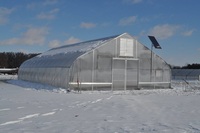 Grande serre préfabriquée à faible coût, serre en film plastique japonais avec système de culture de tomates