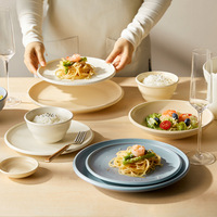 Assiettes à steak en porcelaine colorées de conception nouvelle, style minimaliste nordique, compatibles micro-ondes, ensembles de vaisselle pour restaurants