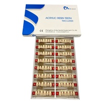 Dents de prothèse antérieure en acrylique 2 couches disponibles OEM