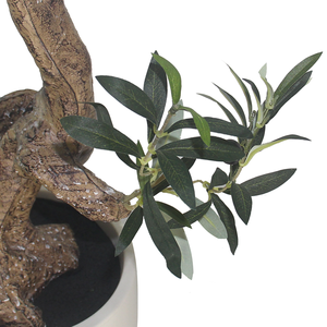 CHUANGFA 120cm en plastique <span class=keywords><strong>olivier</strong></span> artificiel-usage intérieur multi-pièces paquet Thanksgiving et décoration <span class=keywords><strong>de</strong></span> Noël pièce maîtresse <span class=keywords><strong>de</strong></span> mariage - Product Image 3