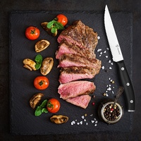 Ensemble de 6 couverts à steak en acier inoxydable, couteaux à steak dentelés tranchants, écologiques, argentés, pour 6 personnes