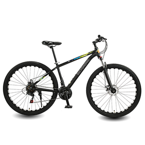 Vélo de montagne classique à deux disques de 24, 26 pouces, cadre en acier, vélo de descente pour adultes - Product Image 2
