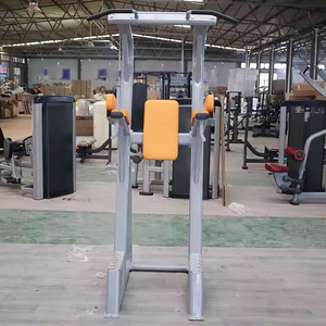 Appareil de fitness commercial pour dips et tractions, avec poignées incurvées ergonomiques, pour le remodelage du haut du corps, destiné aux centres de fitness et salles de sport - Product Image 6