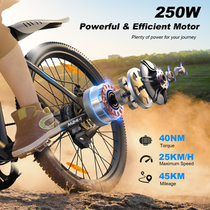Vélo électrique de montagne VARUN à autonomie de 50 km, modèle M24-1, 24 pouces, 250 W, pour sentiers légers, jeunes, en stock dans l'UE, directement de l'usine - Product Image 3