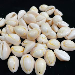Großhandel Kauri Muschel Muscheln Eins Zwei Löcher Strand Natur schalen Handwerk Schmuck Herstellung Polierte DIY Zubehör Dekoration - Product Image 4