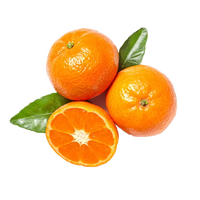 Vente directe d'usine Poudre de pectine d'orange Poudre aromatisée à l'orange Poudre d'écorce d'orange