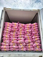Distributeur et Fournisseur en Gros d'Ail Blanc Frais de Chine pour l'Exportation sur Alibaba